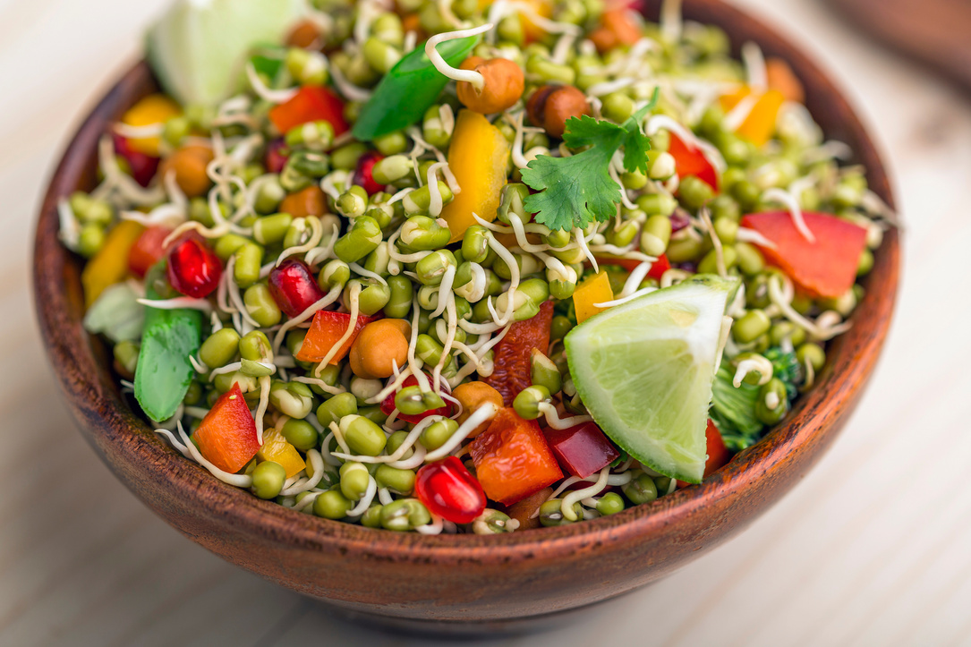 Sprouted Lentil Salad